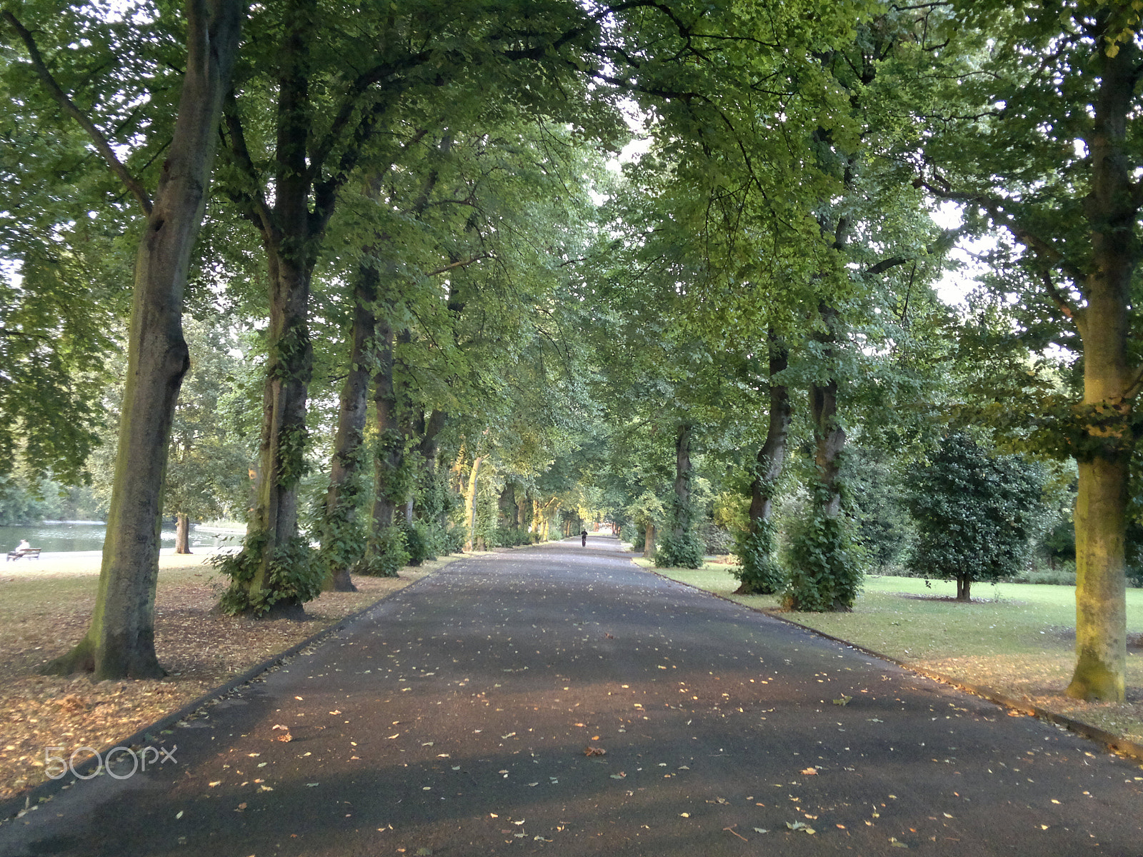 Nokia N8-00 sample photo. Barking park photography