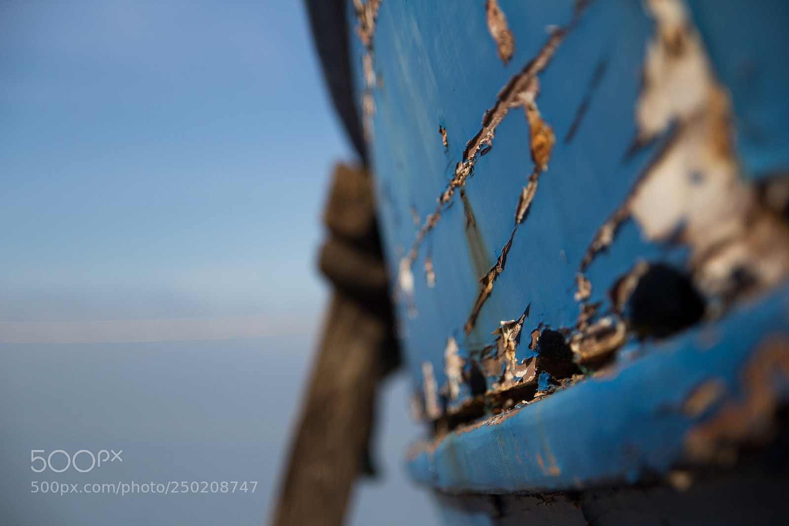 Canon EOS 700D (EOS Rebel T5i / EOS Kiss X7i) sample photo. Img photography