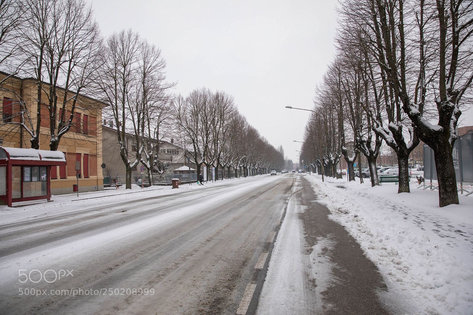 Canon EOS 5D Mark IV sample photo. Snow photography