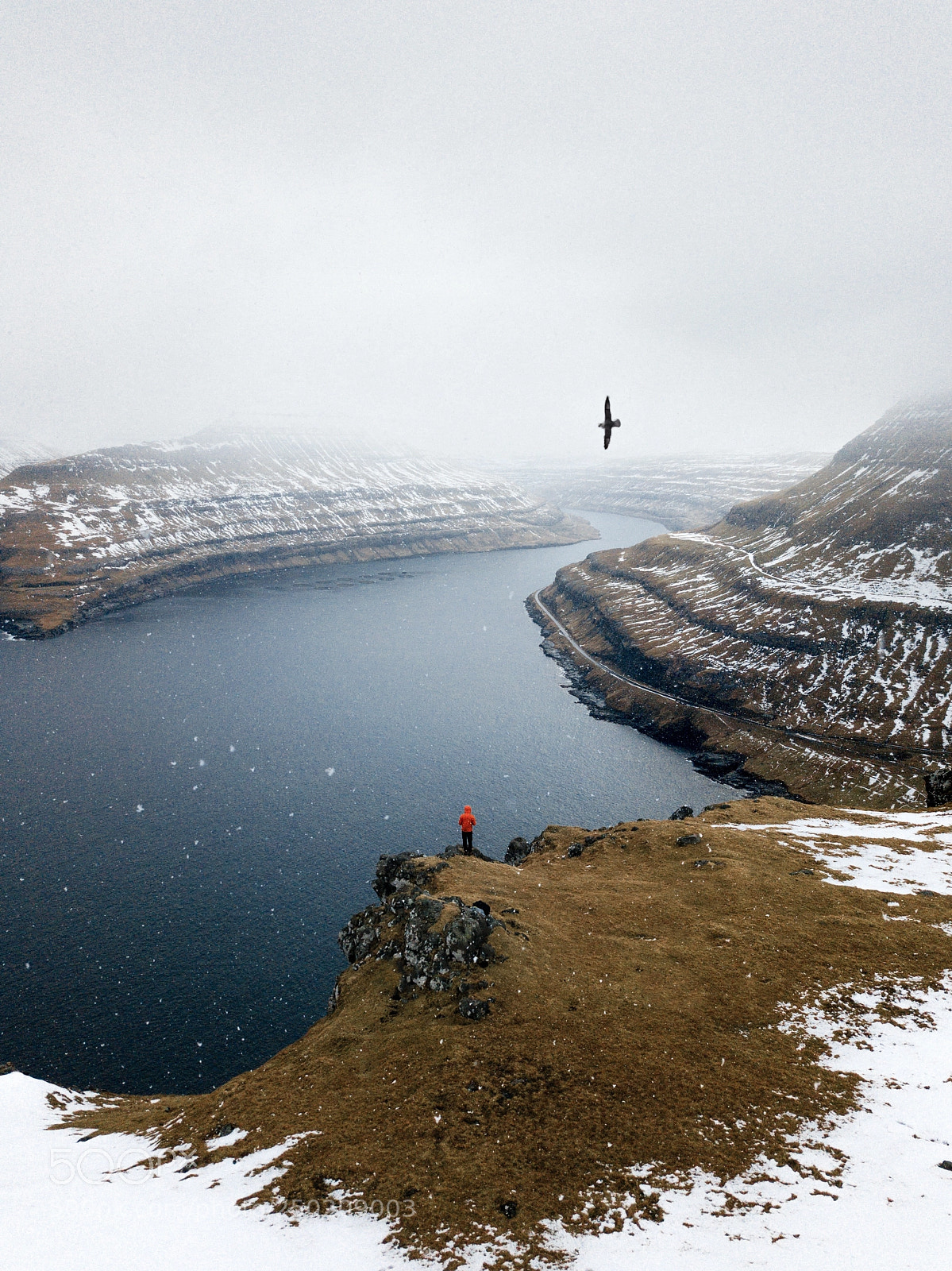 DJI FC220 sample photo. View on the fjords photography