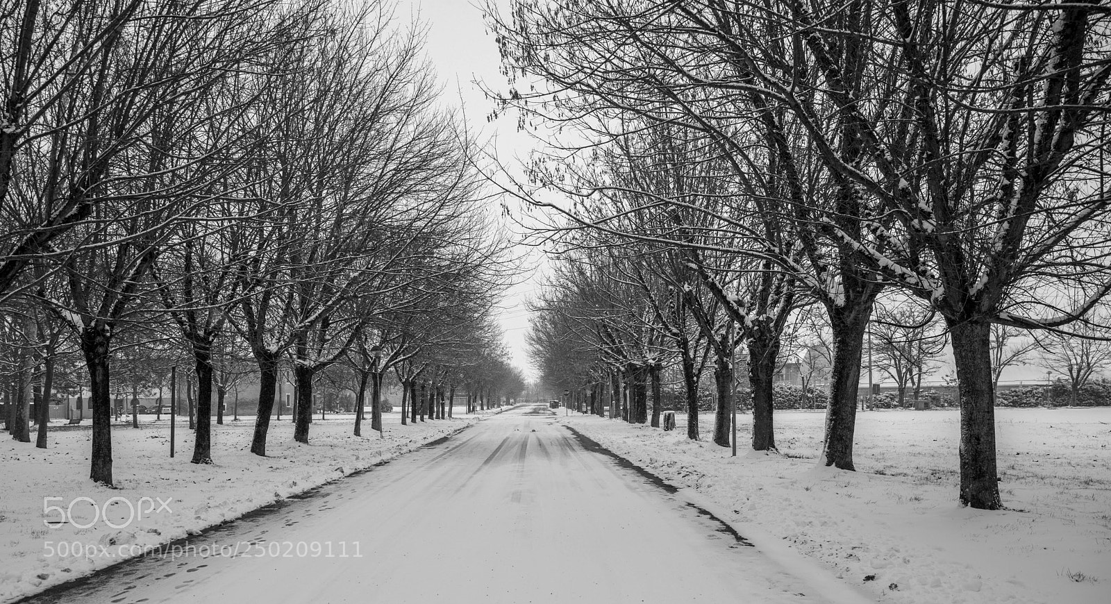 Canon EOS 5D Mark IV sample photo. Snow photography