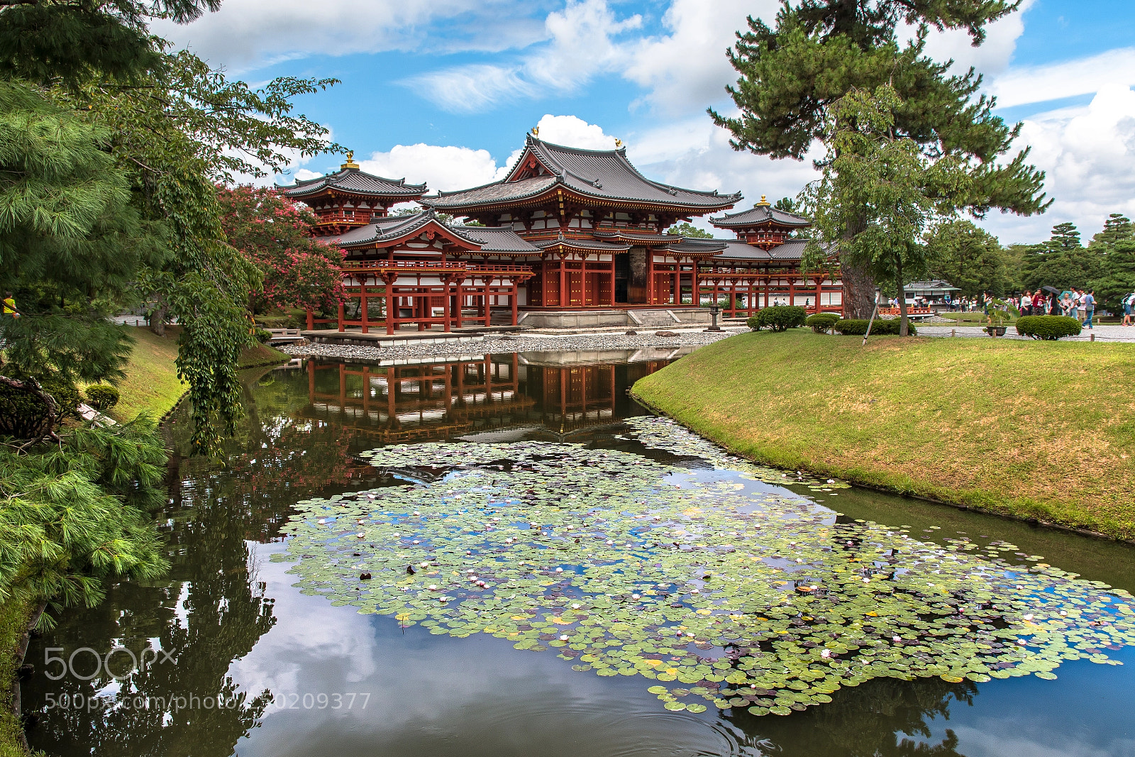 Canon EOS 70D sample photo. A postcard from by photography