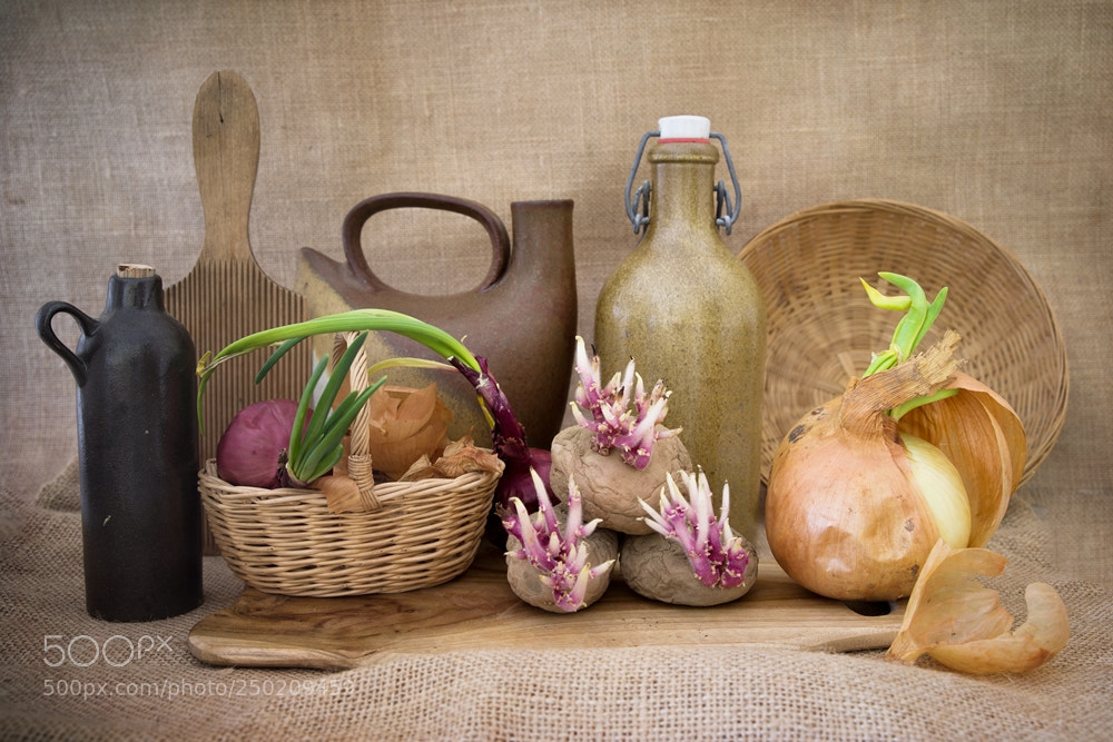 Pentax K-1 sample photo. Still life with potatoes photography