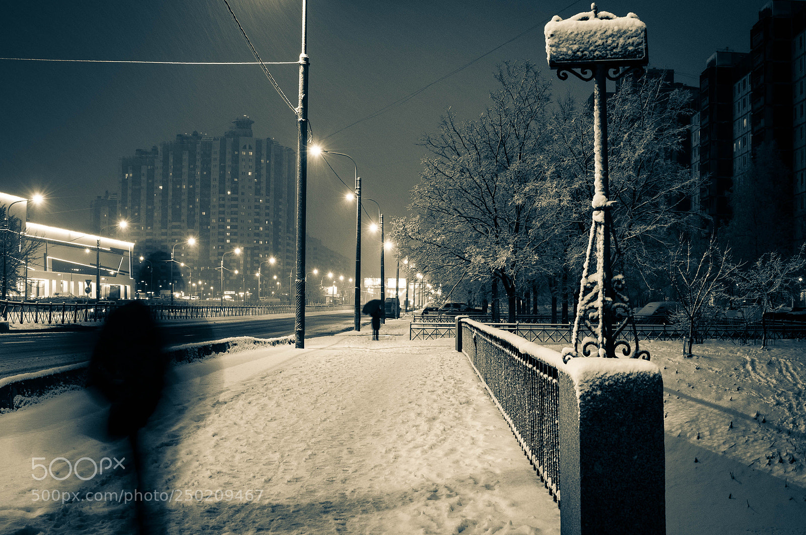 Nikon D5000 sample photo. Untitled photography