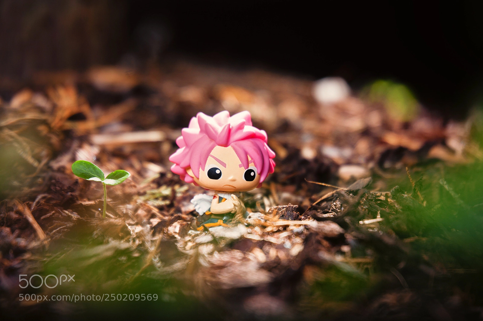 Canon EOS 5D sample photo. Natsu in bushes photography