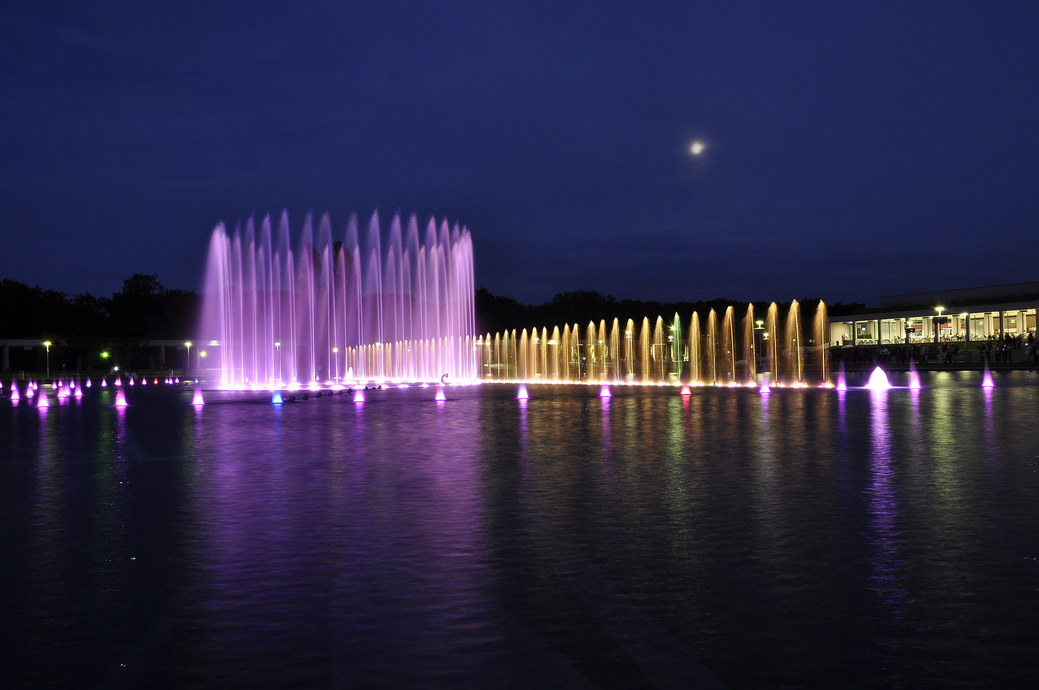 Nikon D5000 sample photo. Wrocław photography