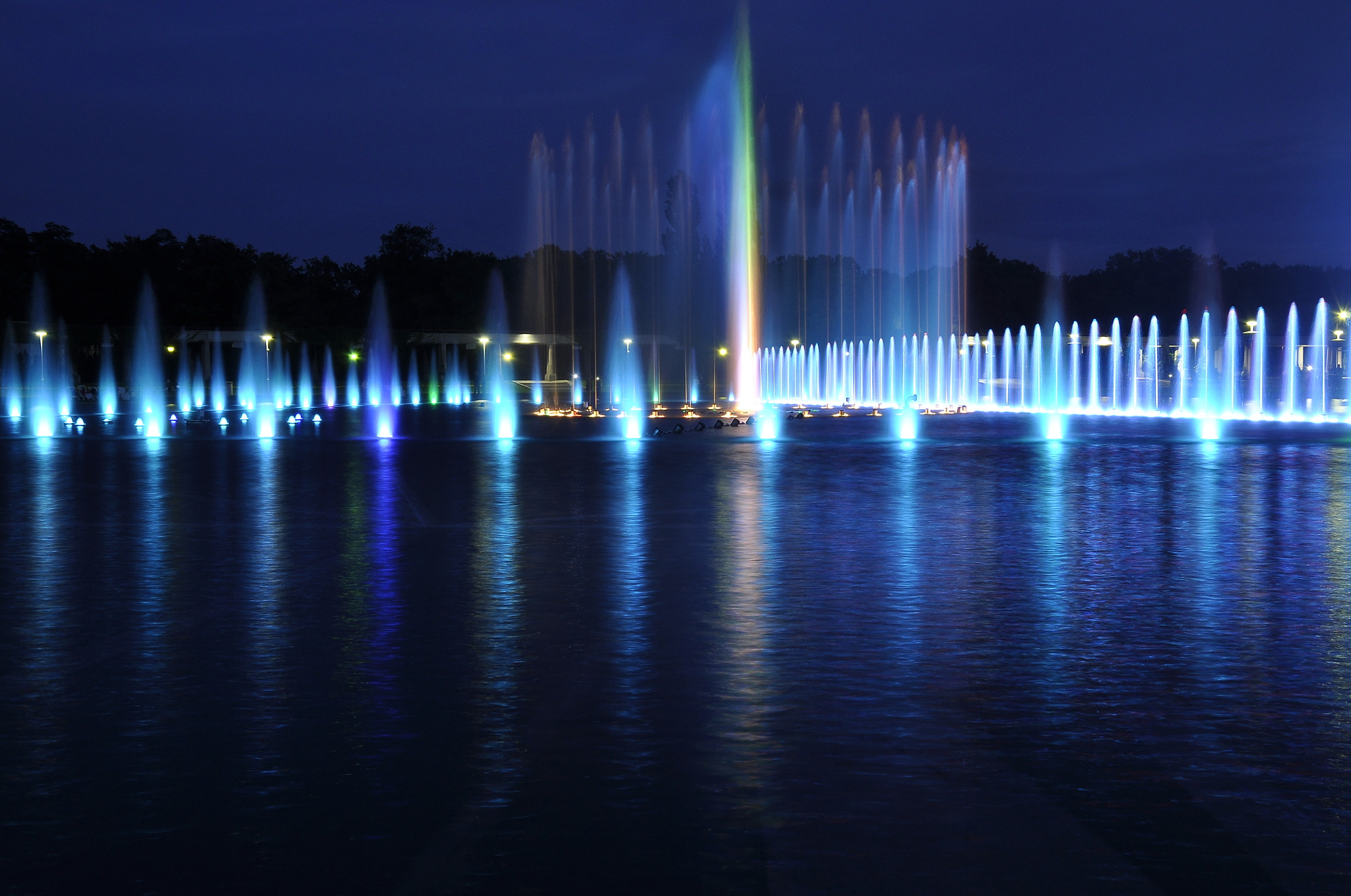 Nikon D5000 sample photo. Wrocław photography