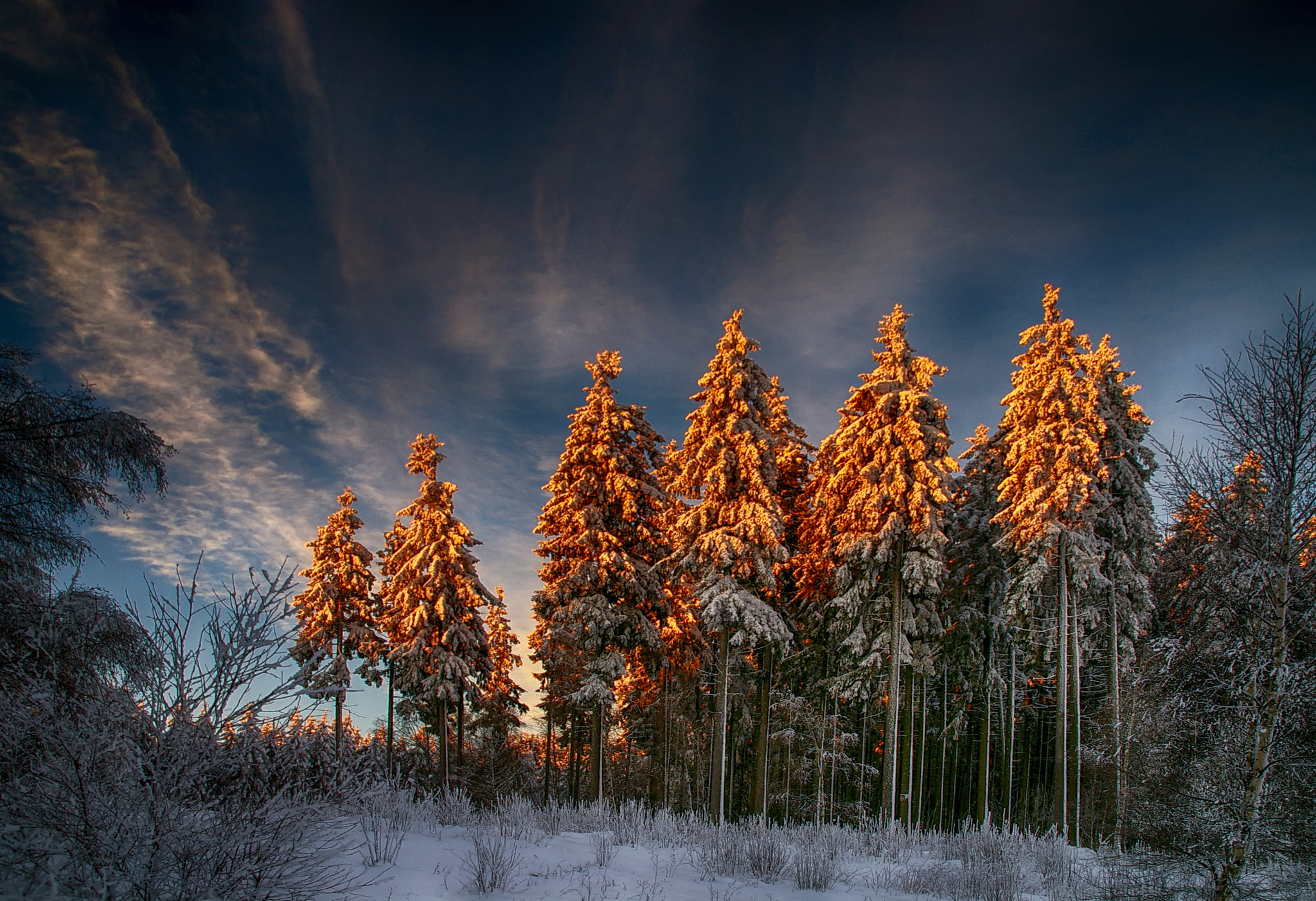 Pentax K100D sample photo. Golden morning photography