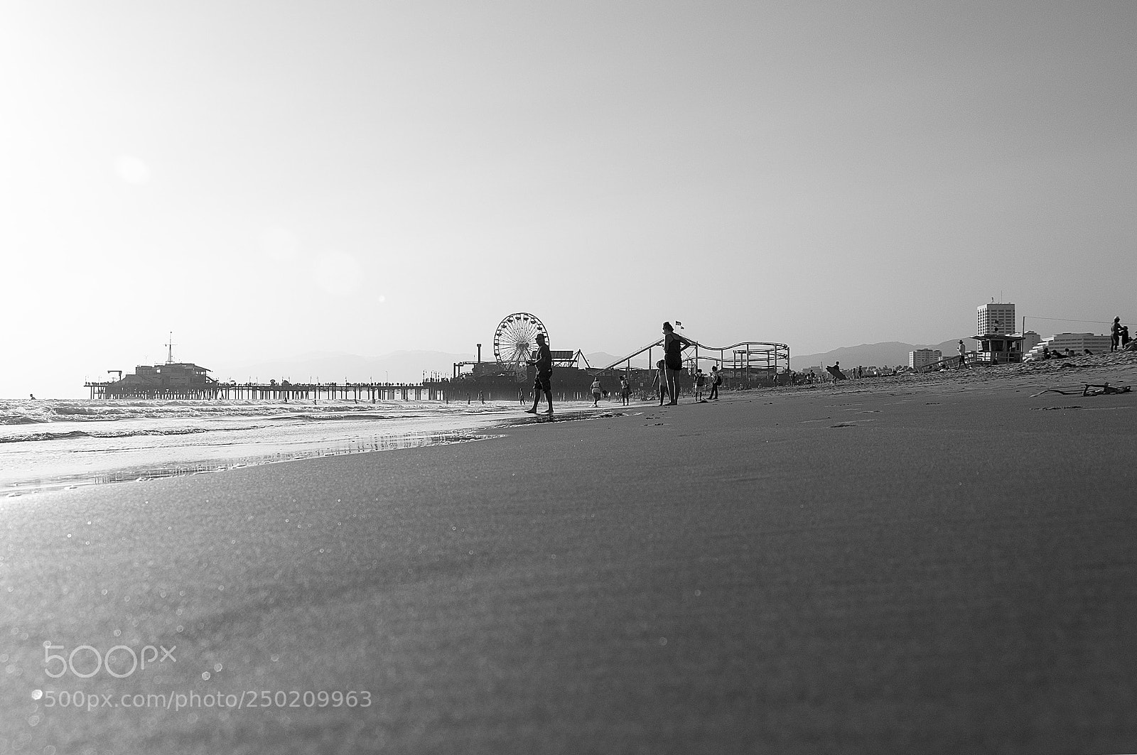 Nikon D90 sample photo. Santa monica black and photography
