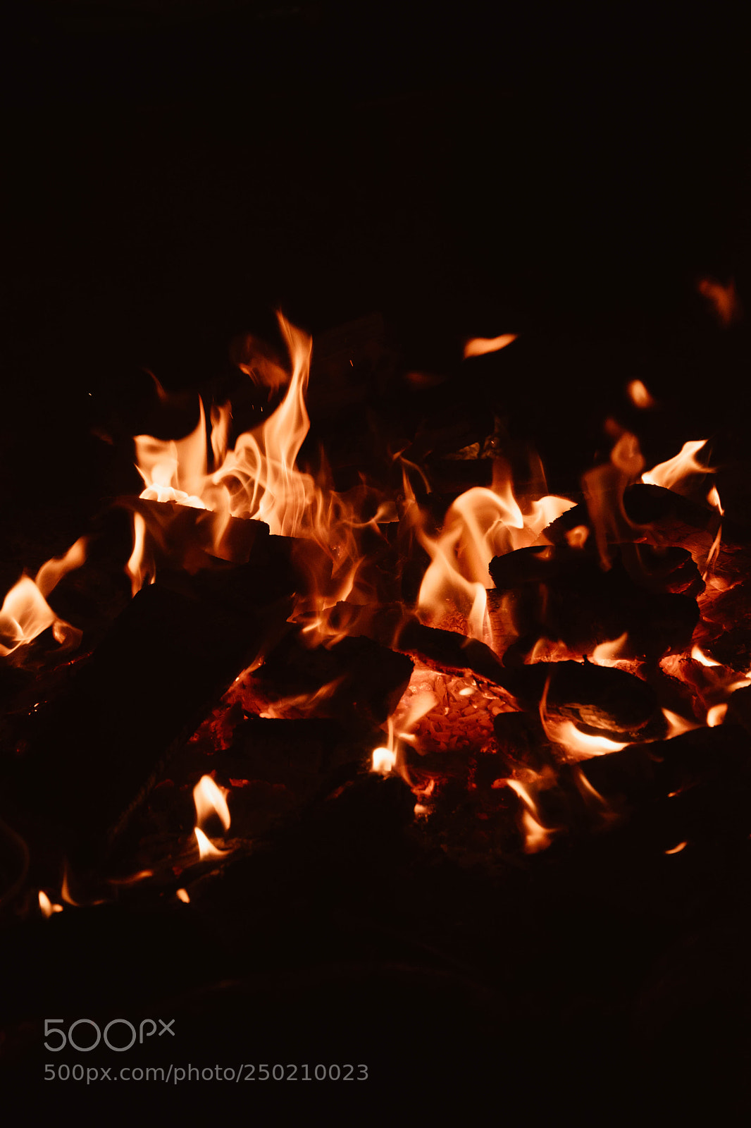Nikon D3300 sample photo. Campfire photography