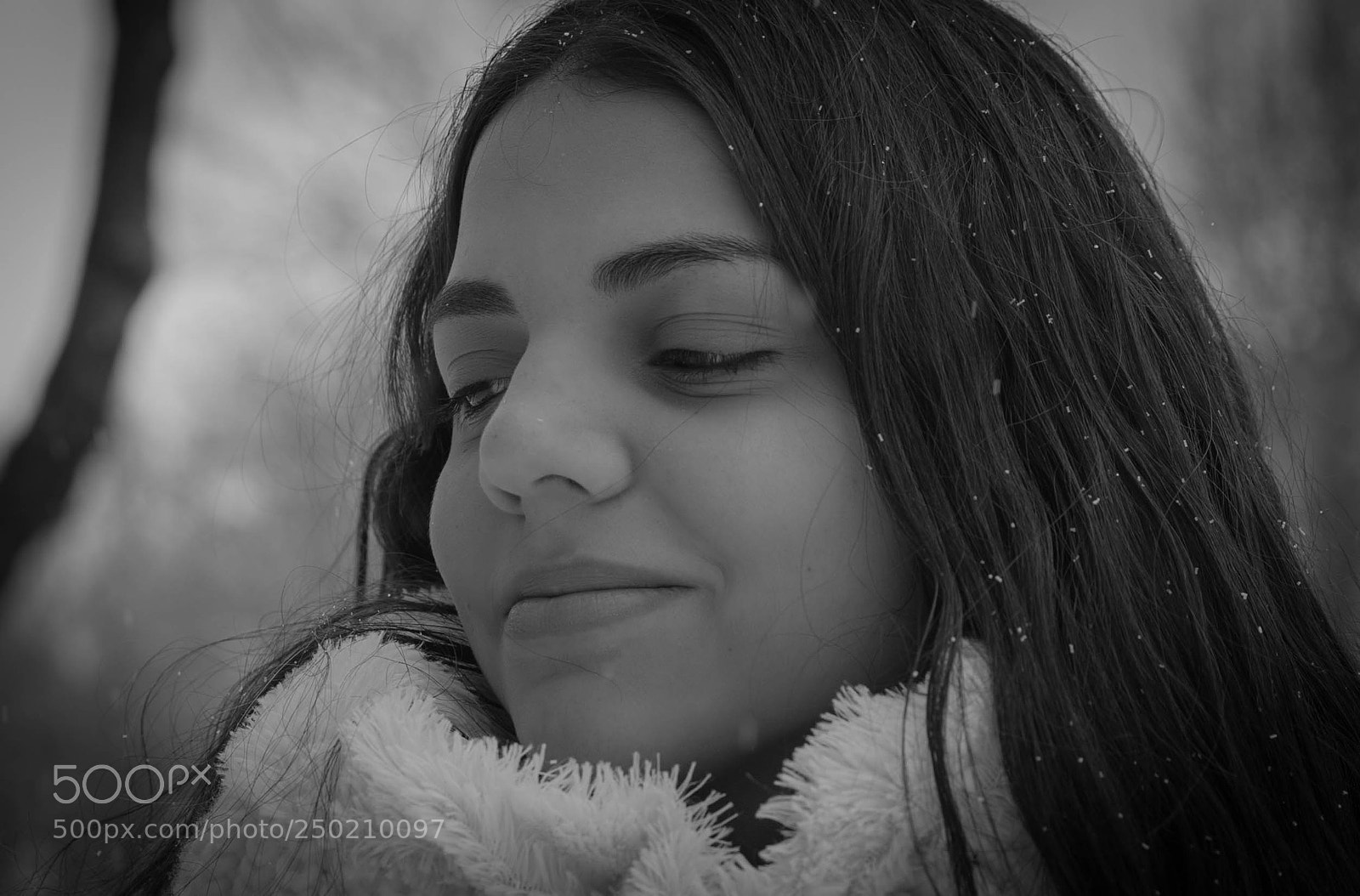 Canon EOS 5D Mark IV sample photo. Bella photography