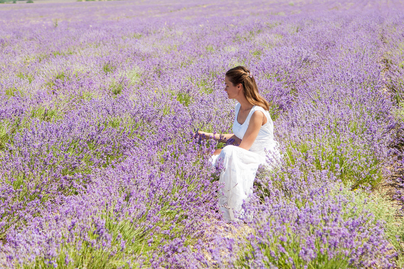 Canon EOS 5D Mark II sample photo. The girl collects lavender photography