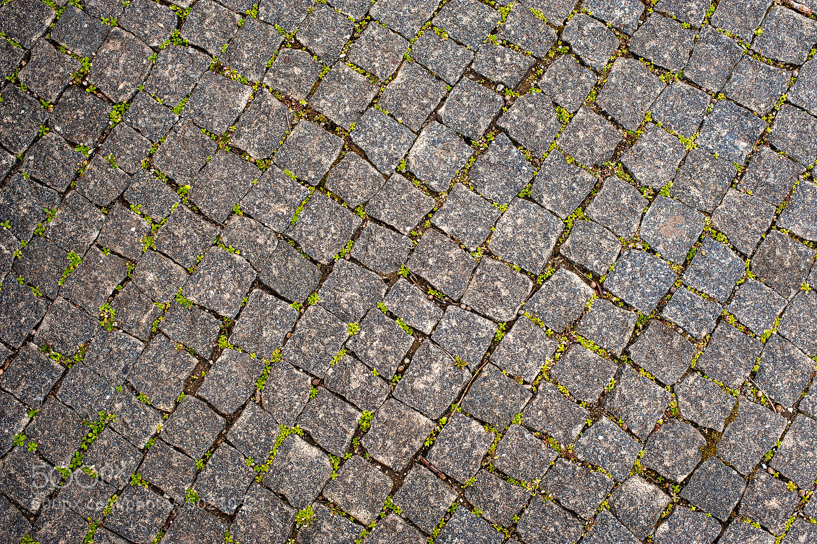 Nikon D700 sample photo. Cobble stone road grey photography