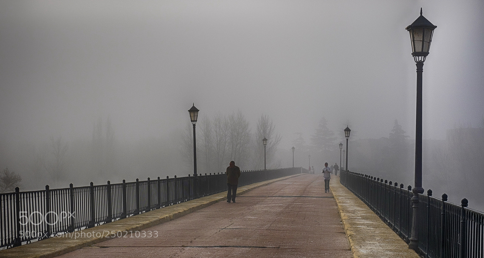 Olympus OM-D E-M1 sample photo. Niebla en el puente photography