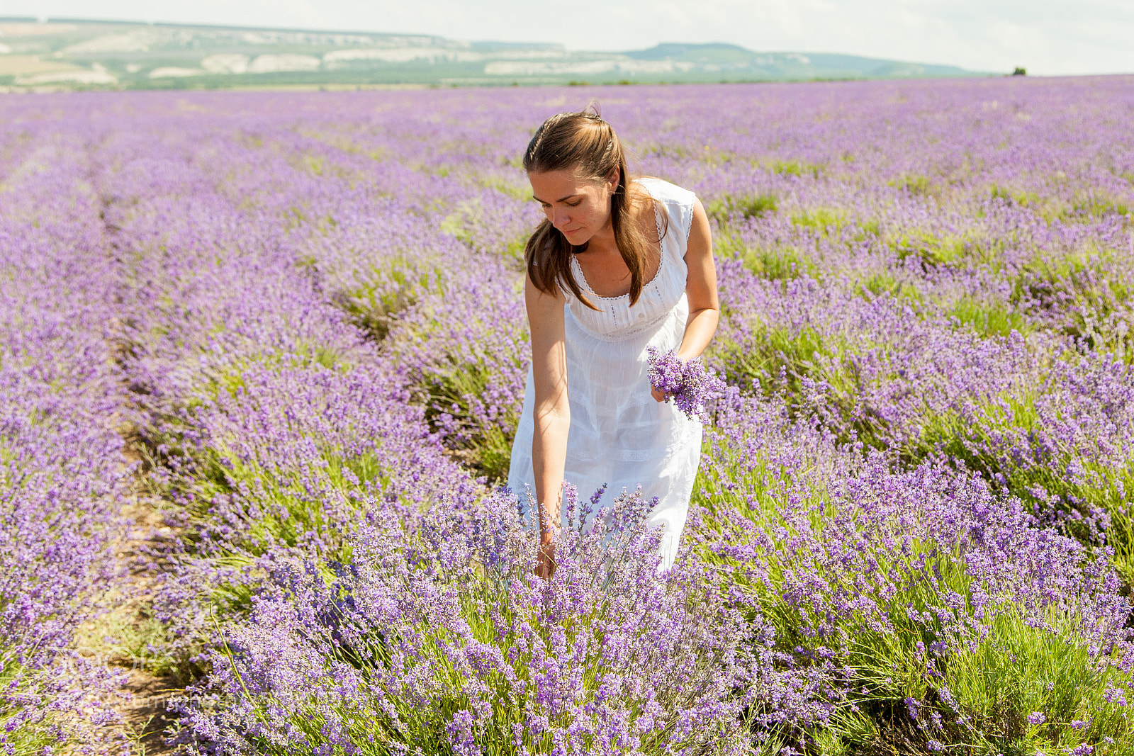 Canon EOS 5D Mark II sample photo. The girl collects lavender photography