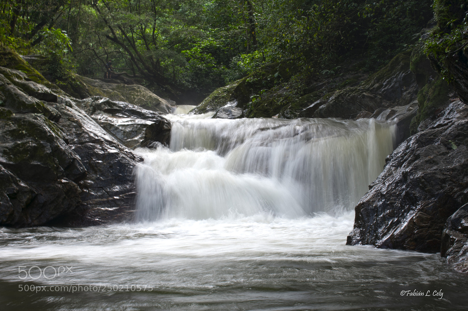 Nikon D3400 sample photo. Minca photography
