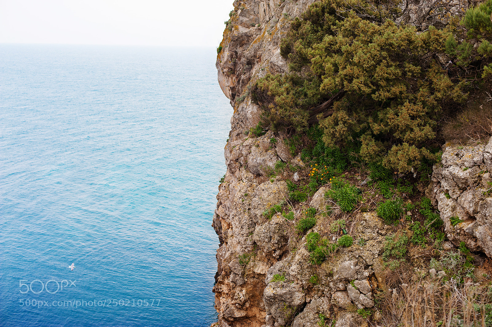 Nikon D700 sample photo. Scenic landscape wild nature photography