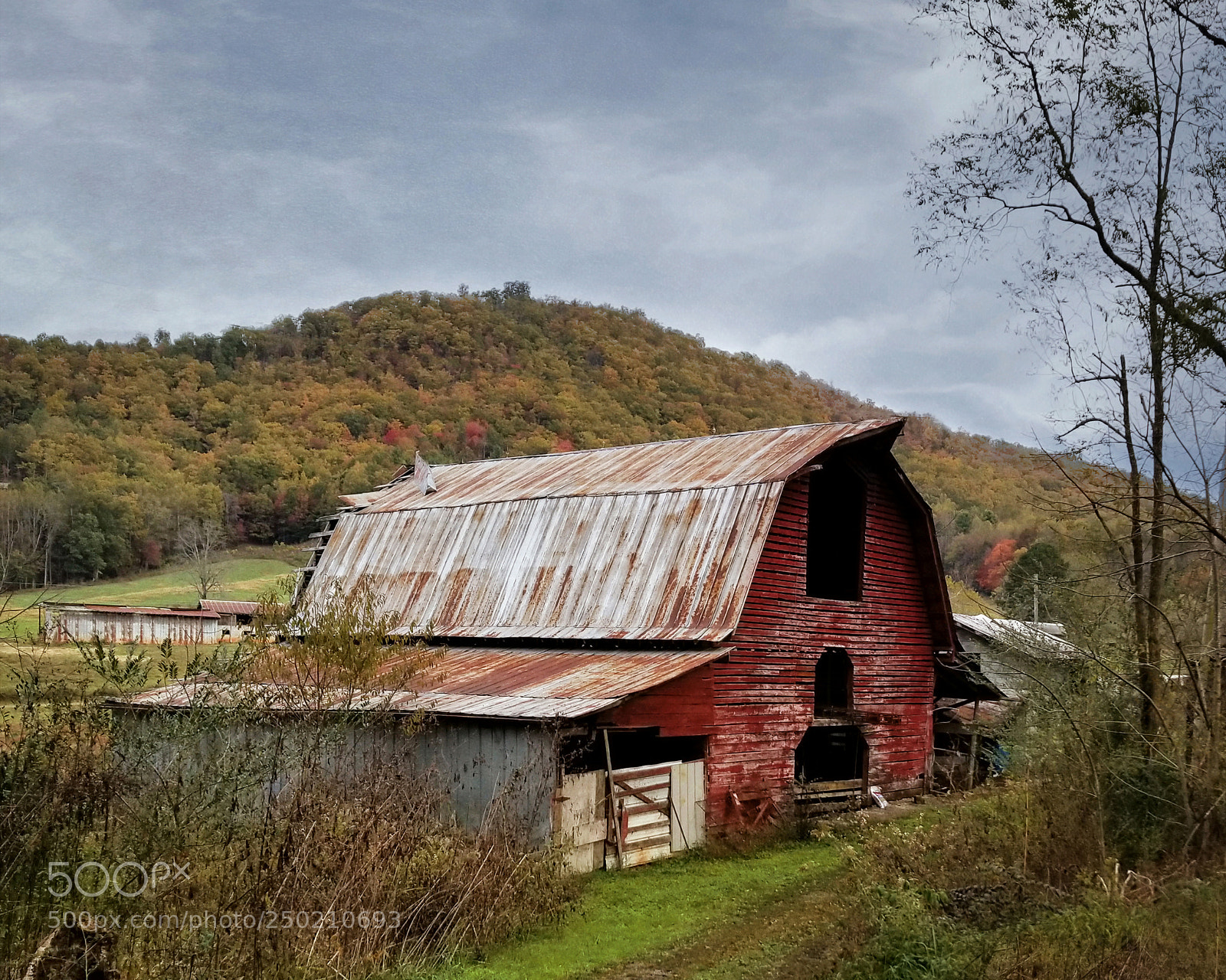 Samsung Galaxy S8 sample photo. Off downings creek road photography