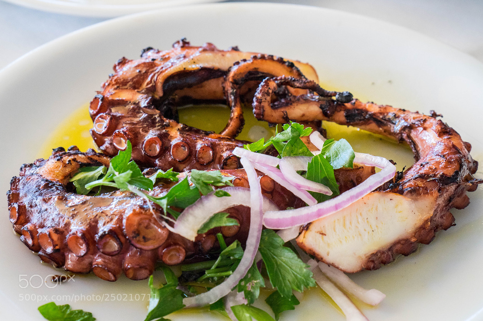 Sony a7 sample photo. Grilled octopus photography