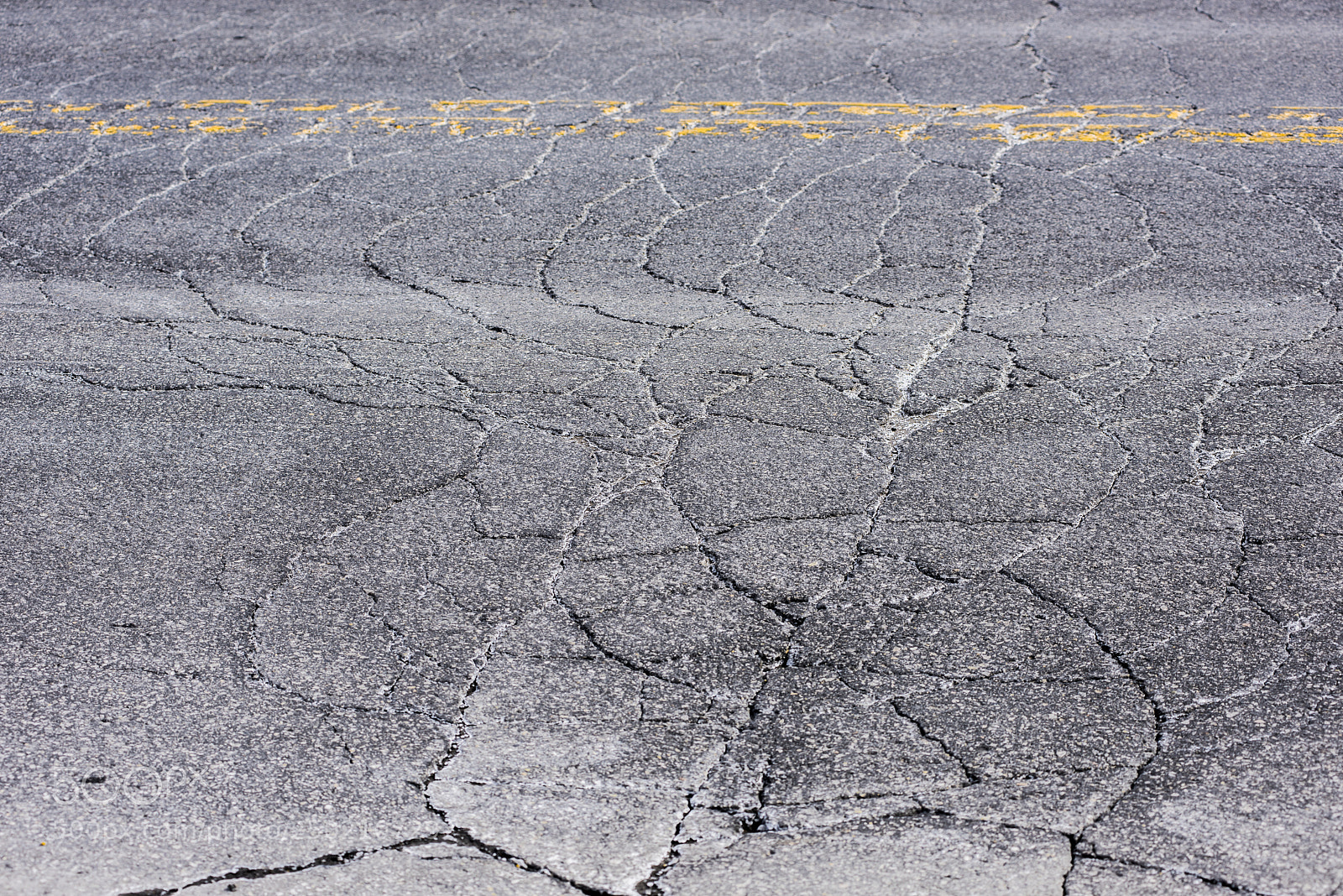 Nikon D810 sample photo. Lignes jaunes photography