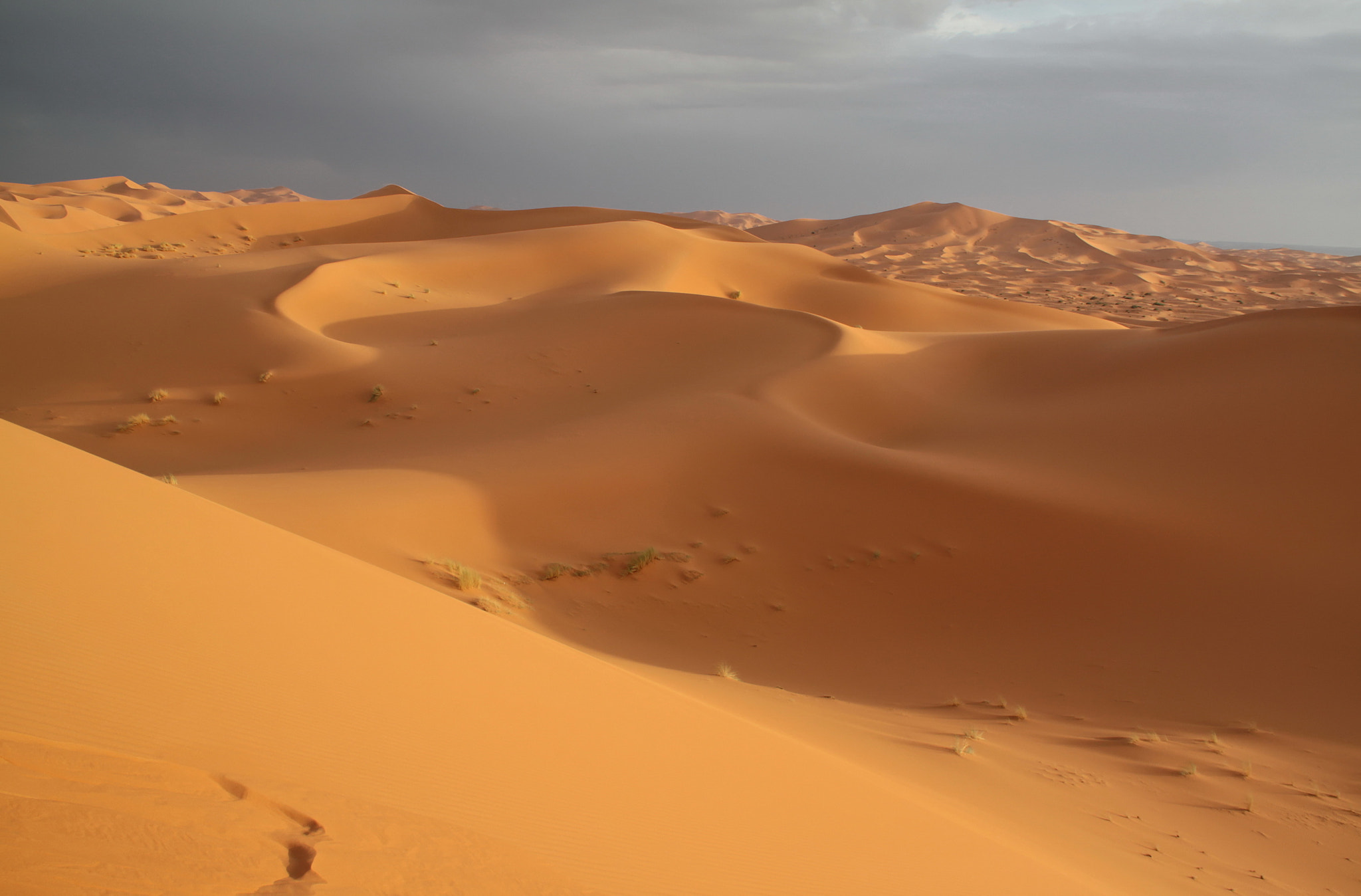 Canon EOS 500D (EOS Rebel T1i / EOS Kiss X3) sample photo. Merzouga: dunes photography