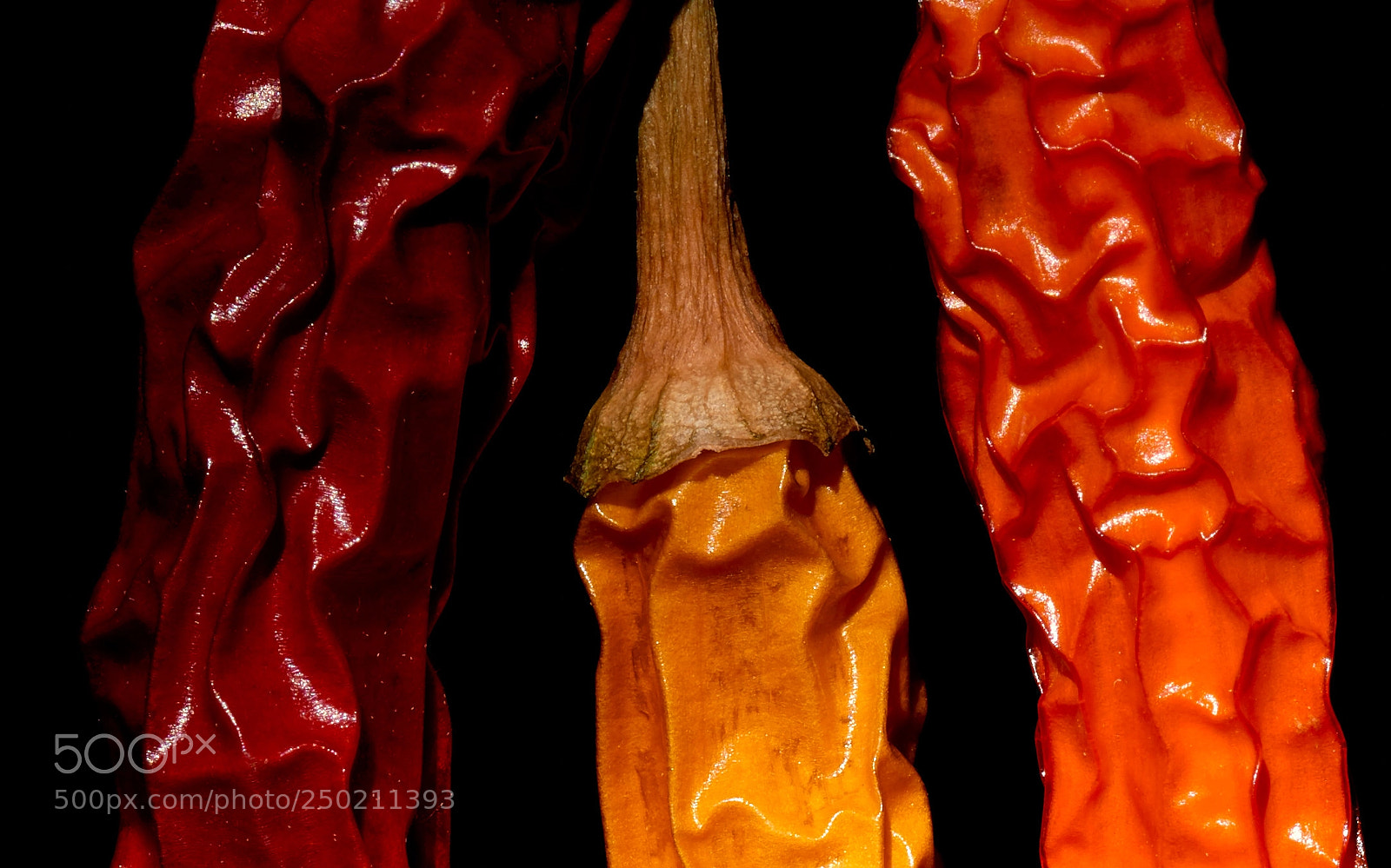 Nikon D810 sample photo. Spicy wrinkles photography