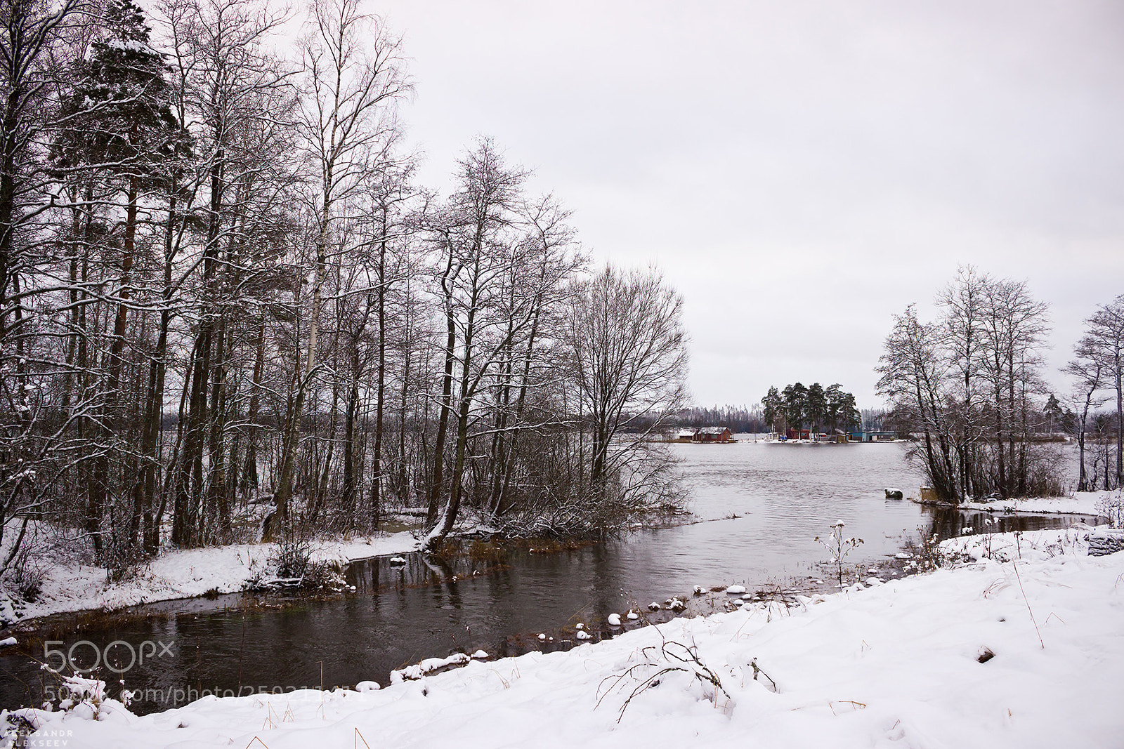 Canon EOS 600D (Rebel EOS T3i / EOS Kiss X5) sample photo. Winter nature photography
