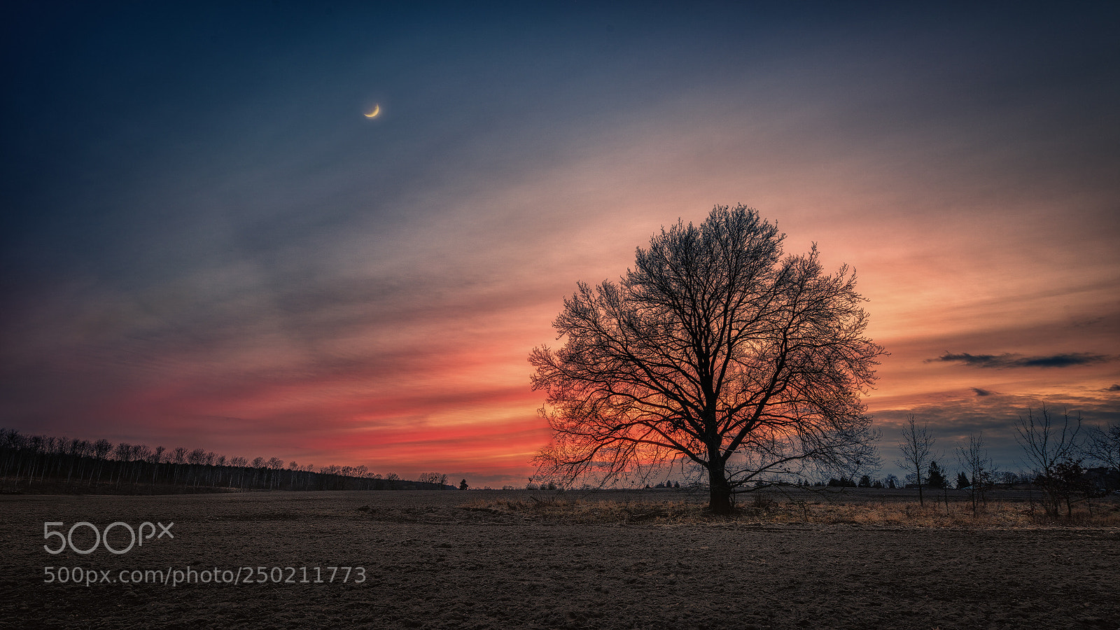 Nikon D810 sample photo. Abendhimmel photography