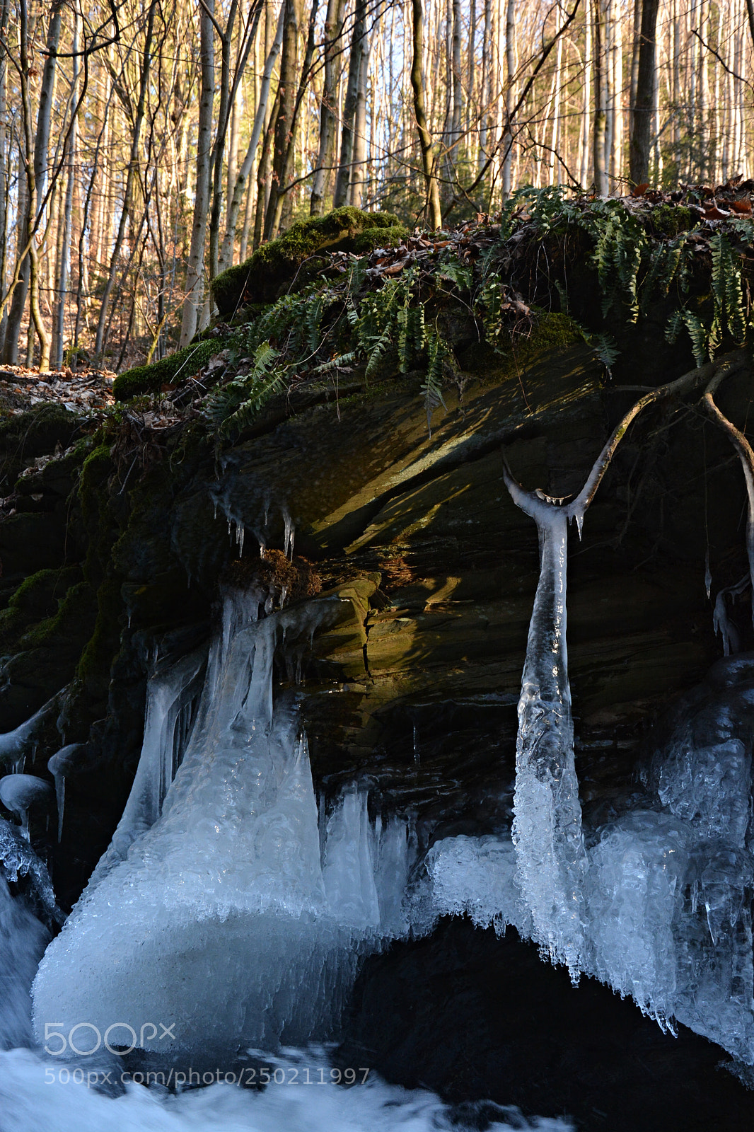 Nikon D7100 sample photo. Pohádková zima photography
