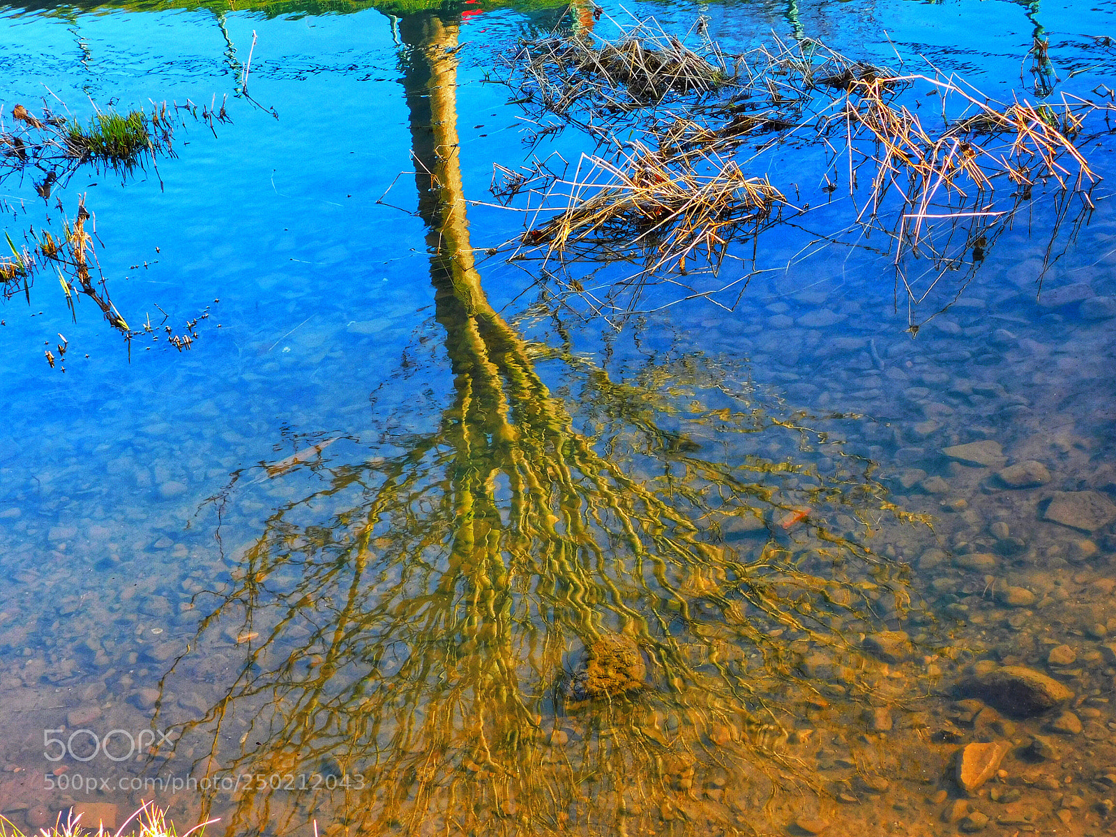 Nikon Coolpix B500 sample photo. Untitled photography
