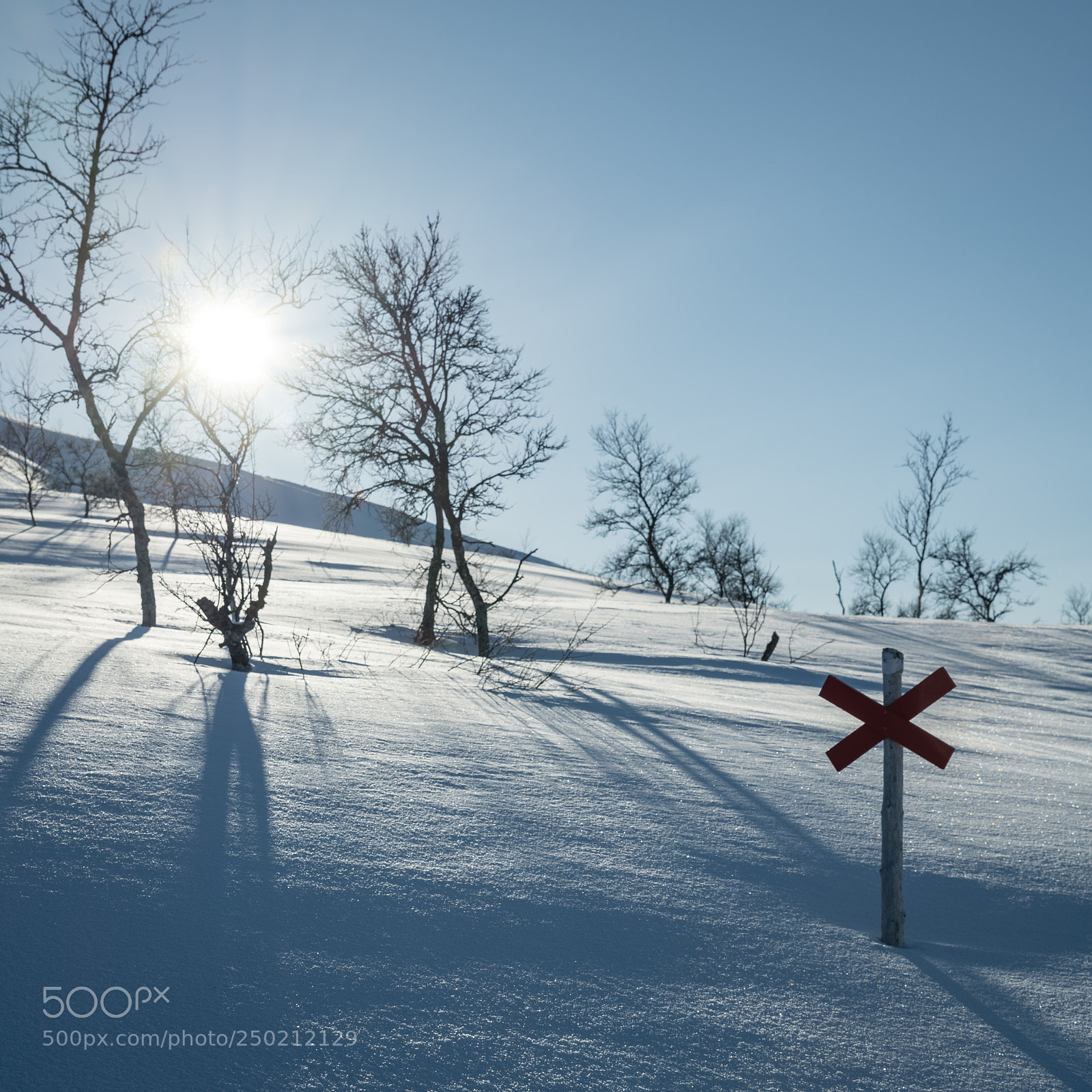 Nikon D850 sample photo. Winter light photography