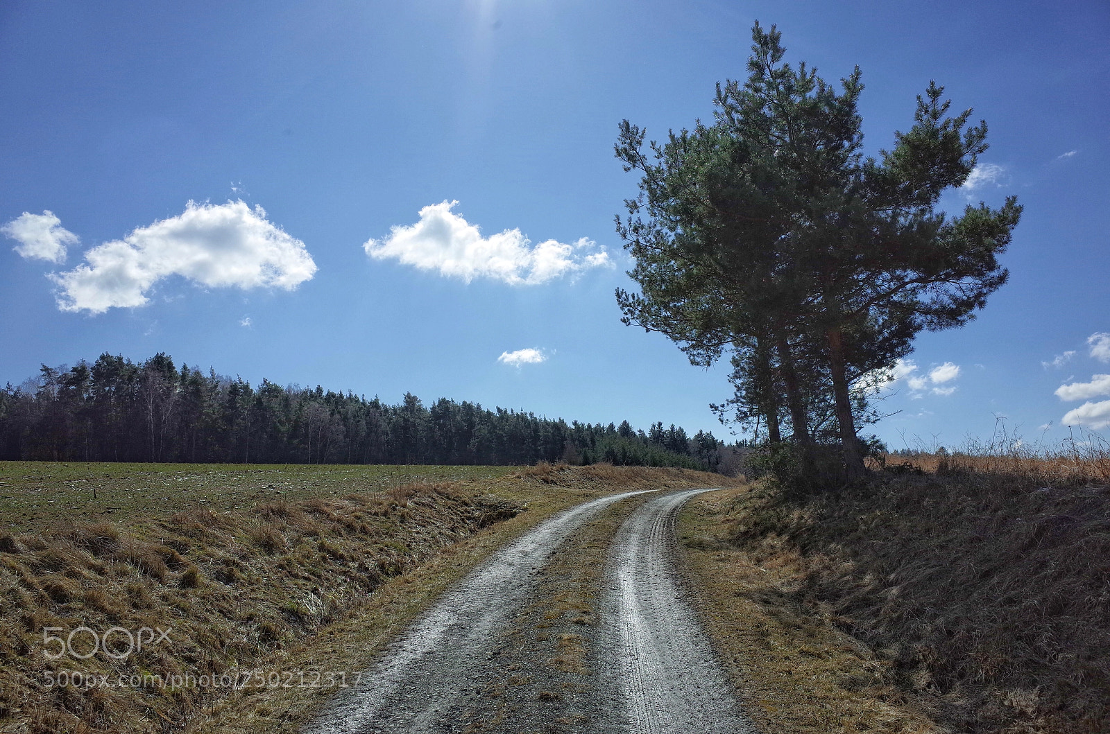 Ricoh GR sample photo. Vom we und heut photography
