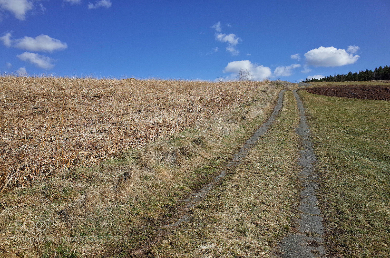 Ricoh GR sample photo. Vom we und heut photography