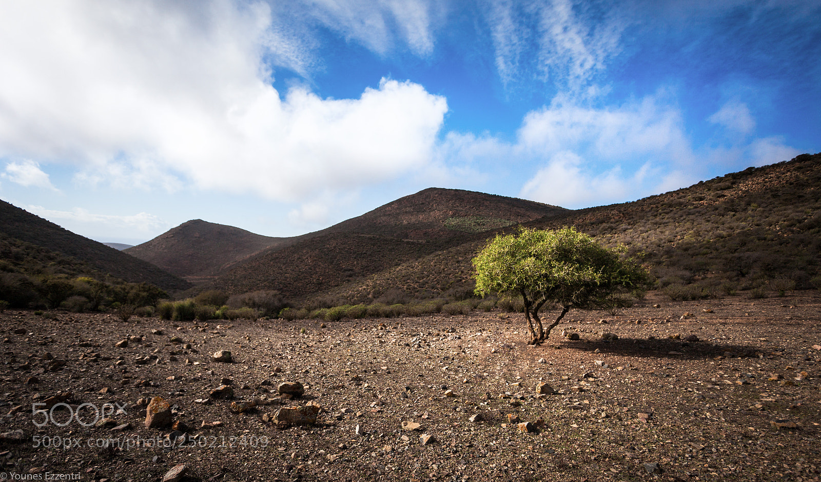 Canon EOS 5D Mark II sample photo. Alone in nature photography