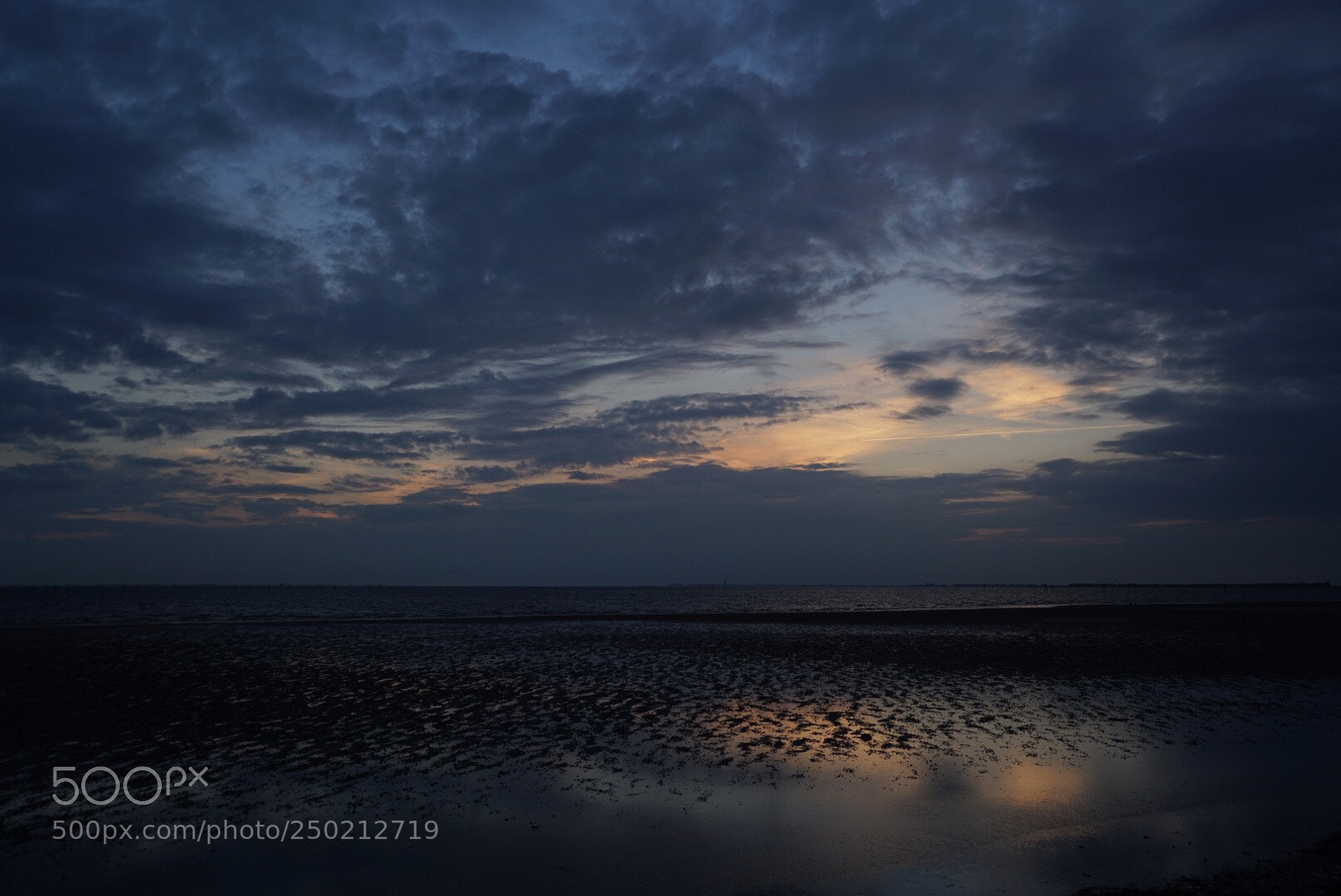 Sony a7R II sample photo. Untitled photography