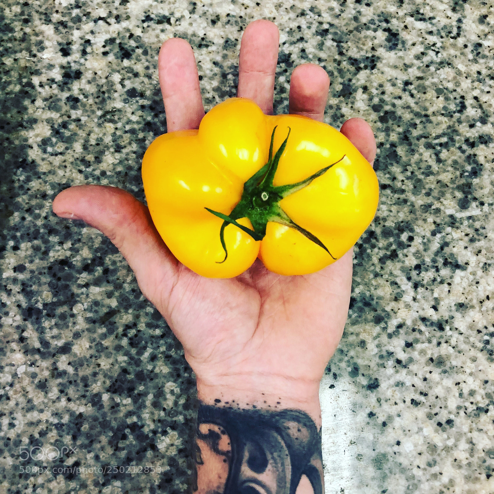 Apple iPhone 8 sample photo. Pomodoro giallo photography