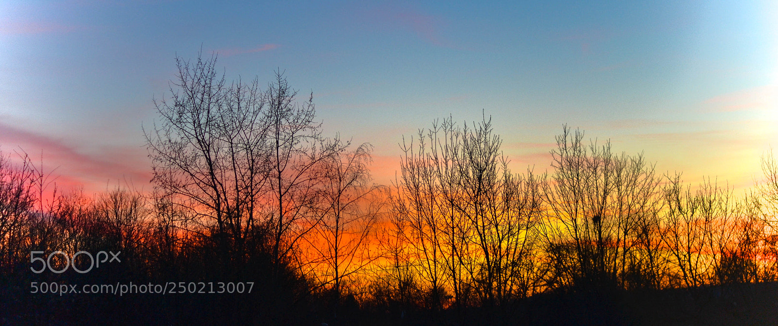 Nikon D3100 sample photo. Untitled photography