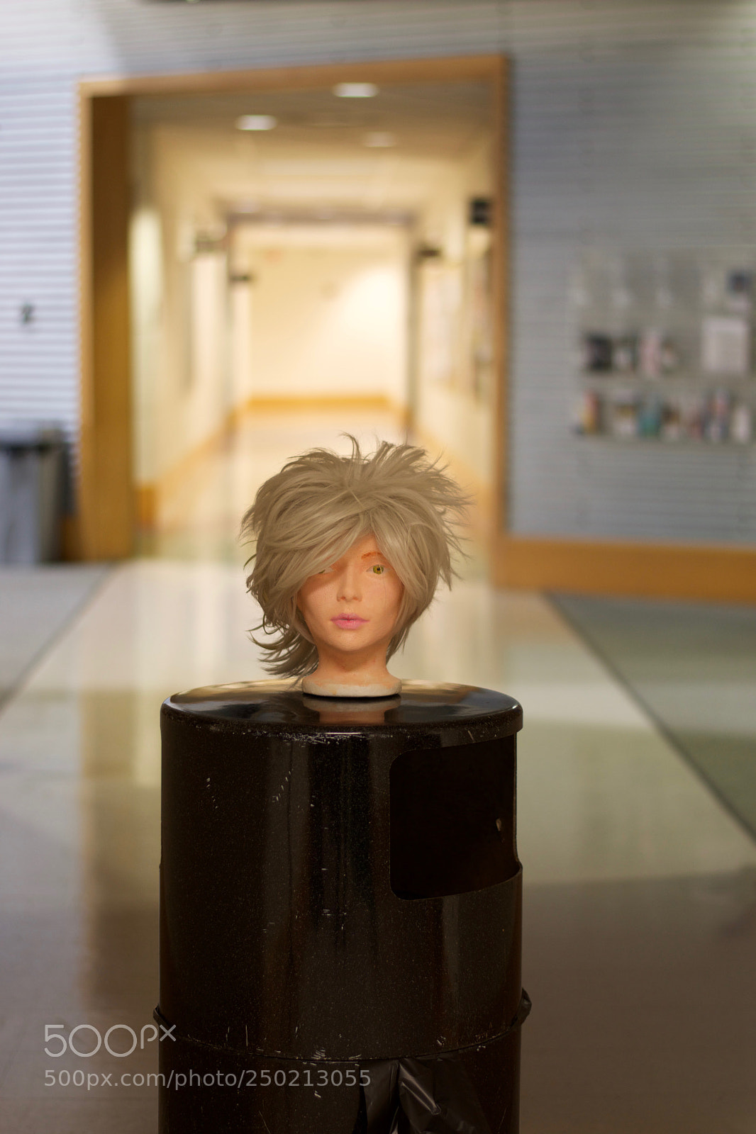 Nikon D5500 sample photo. () photography