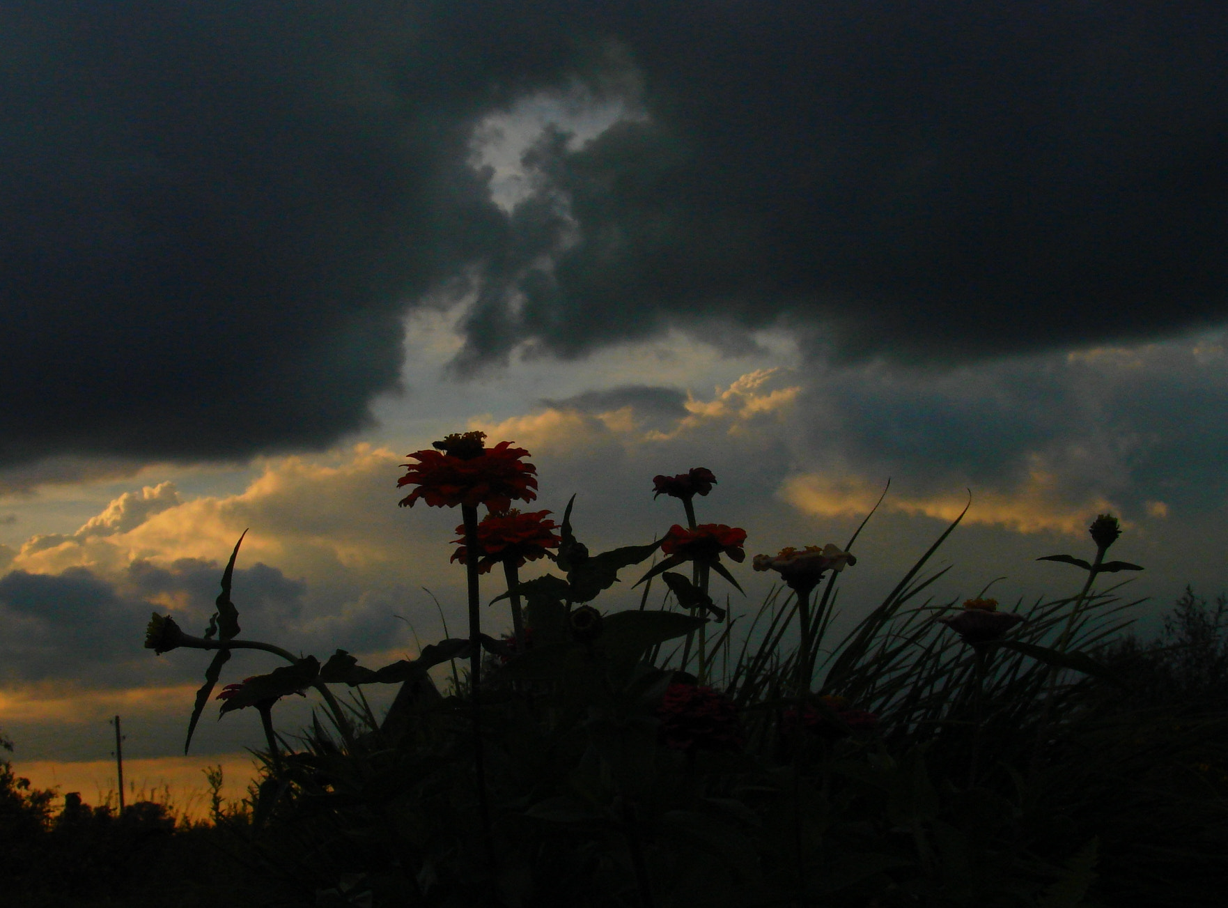 Sony DSC-H5 sample photo. Between heaven and  earth photography