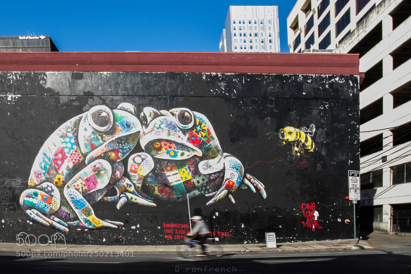 Canon EOS 7D sample photo. Texas toads photography