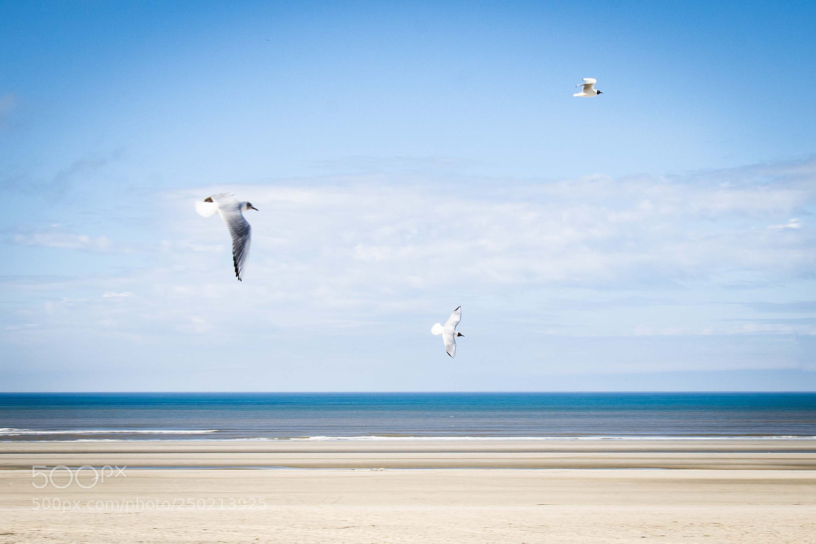 Nikon D7000 sample photo. Un bol d'air frais photography