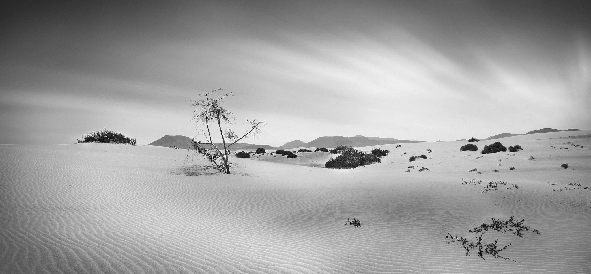 Ricoh GXR A16 sample photo. Voyage through the desert photography