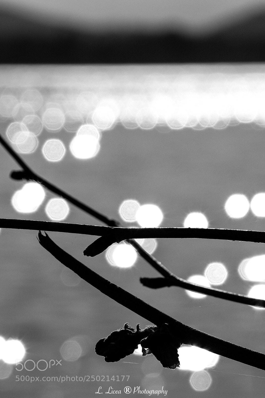 Canon EOS 100D (EOS Rebel SL1 / EOS Kiss X7) sample photo. Caress of light 47 photography