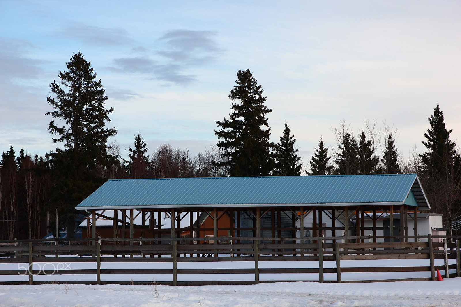 Canon EOS 550D (EOS Rebel T2i / EOS Kiss X4) sample photo. Paddock photography