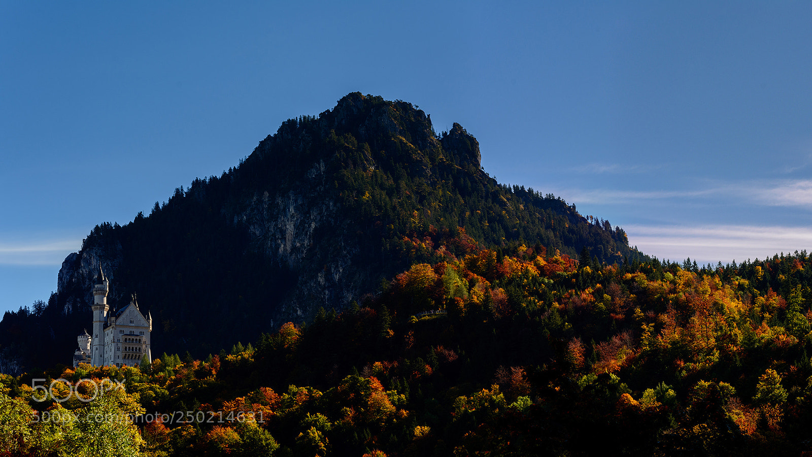 Nikon D5200 sample photo. Neuschwanstein in the morning. photography