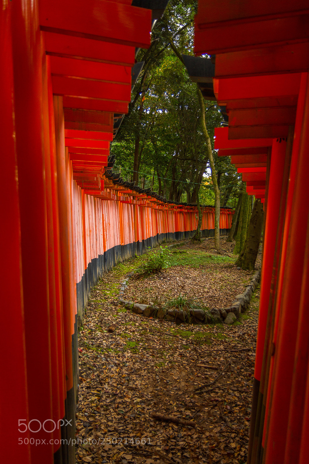 Canon EOS 7D sample photo. The in between photography