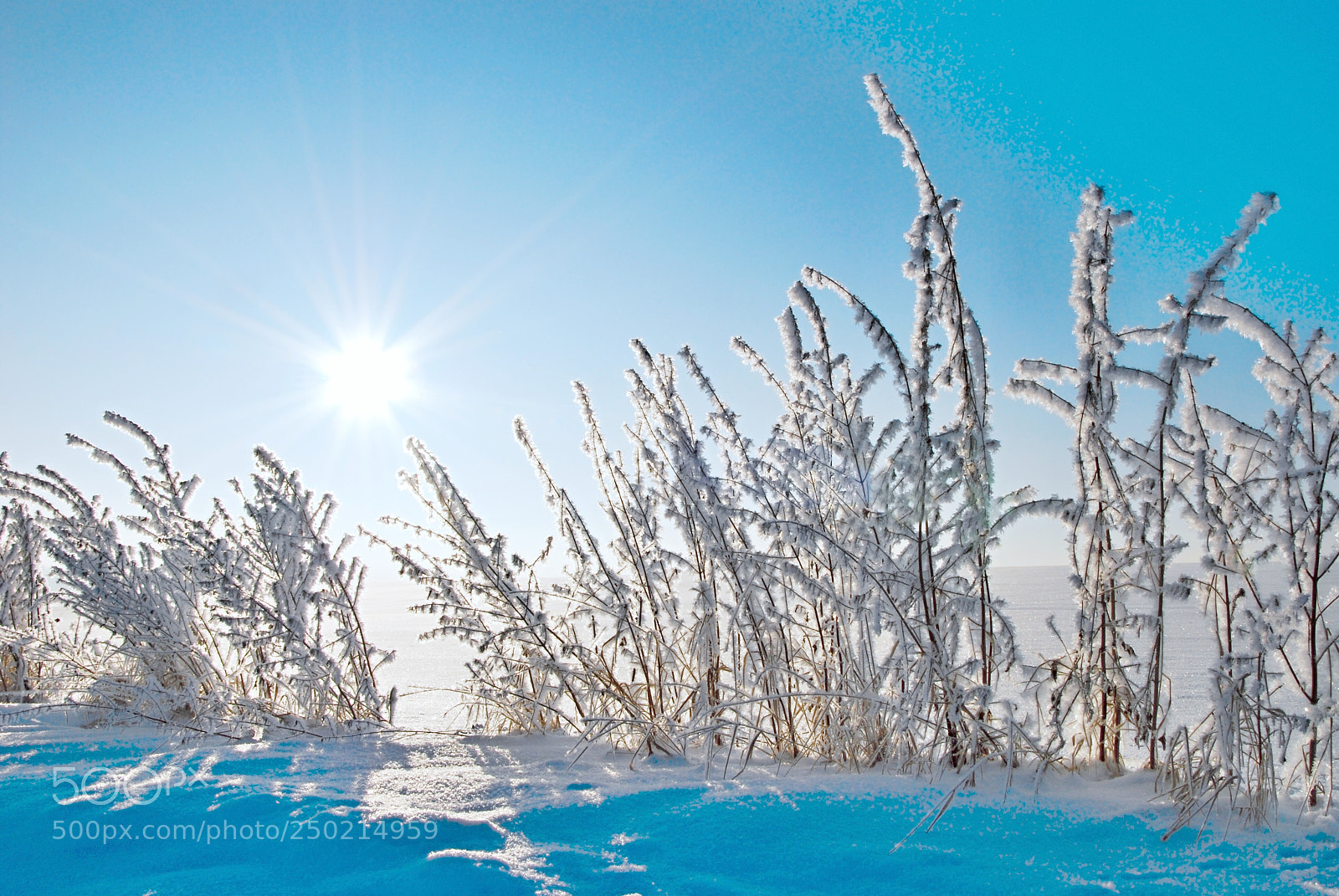Nikon D60 sample photo. Winter scenery photography