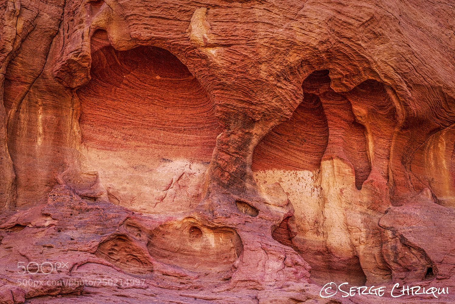 Nikon D800E sample photo. Skeleton face photography