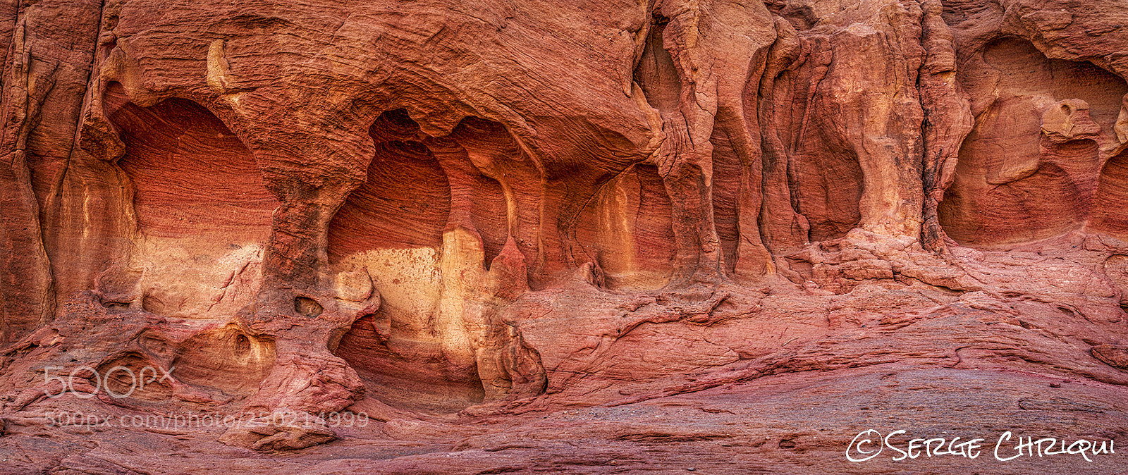 Nikon D800E sample photo. Skeleton face wall photography