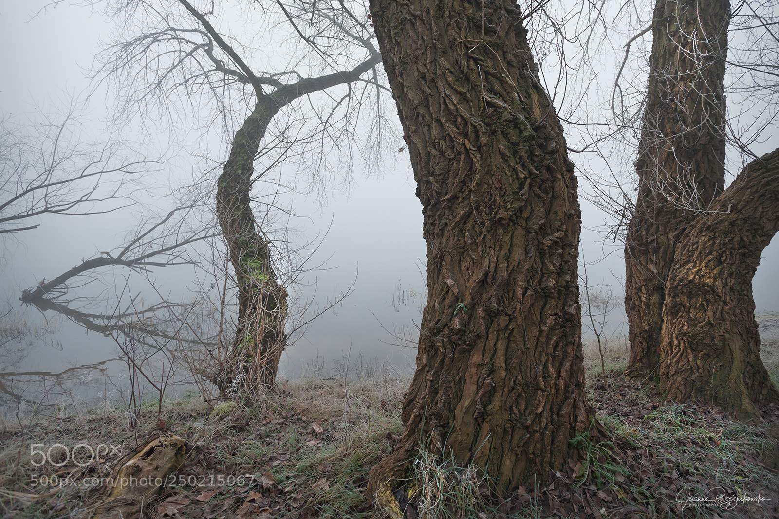 Canon EOS 5D Mark II sample photo. My paths photography